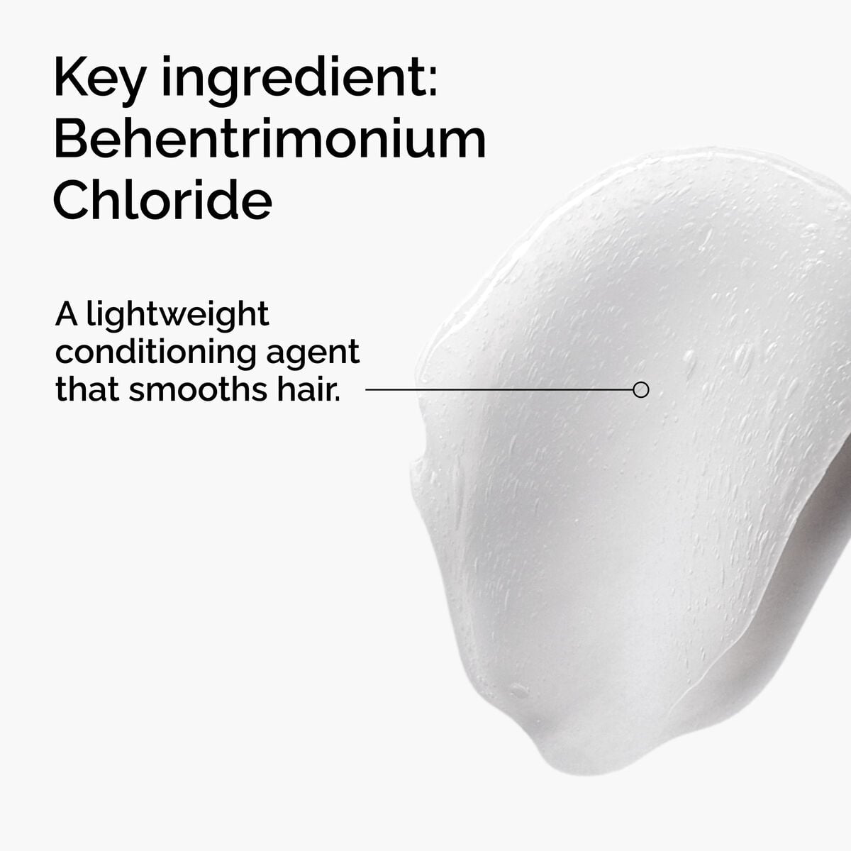 behentrimonium-chloride-2-conditioner-t1 FY25-D41247-ORD-Web-PDP-BTC-1x1-EN-2a.jpg