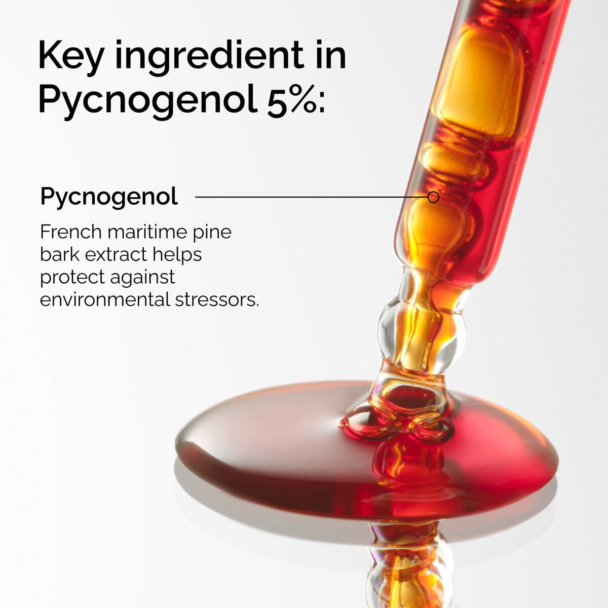 pycnogenol-5-y3 FY25-D41247-ORD-Web-PDP-Pyc-5pct-1x1-EN-2a.jpg