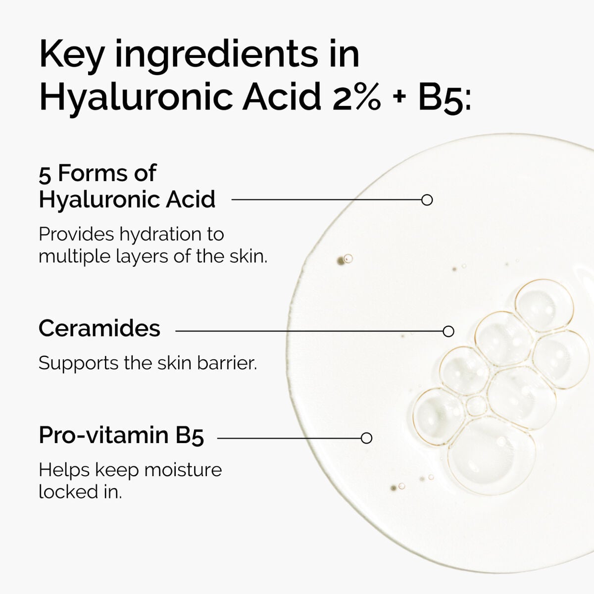 hyaluronic-acid-2-b5-with-ceramides-t9 ord-hyaluronic-acid-2pct-b5-hydrating-serum-ingredients-graphic.jpg